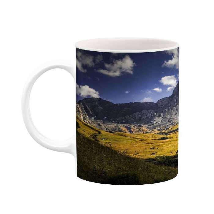 ماگ کاکتی طرح منظره مدل mgs16812