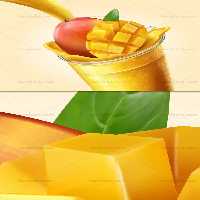 وکتور جذاب انبه و آب انبه | گرافیک با طعم تربچه