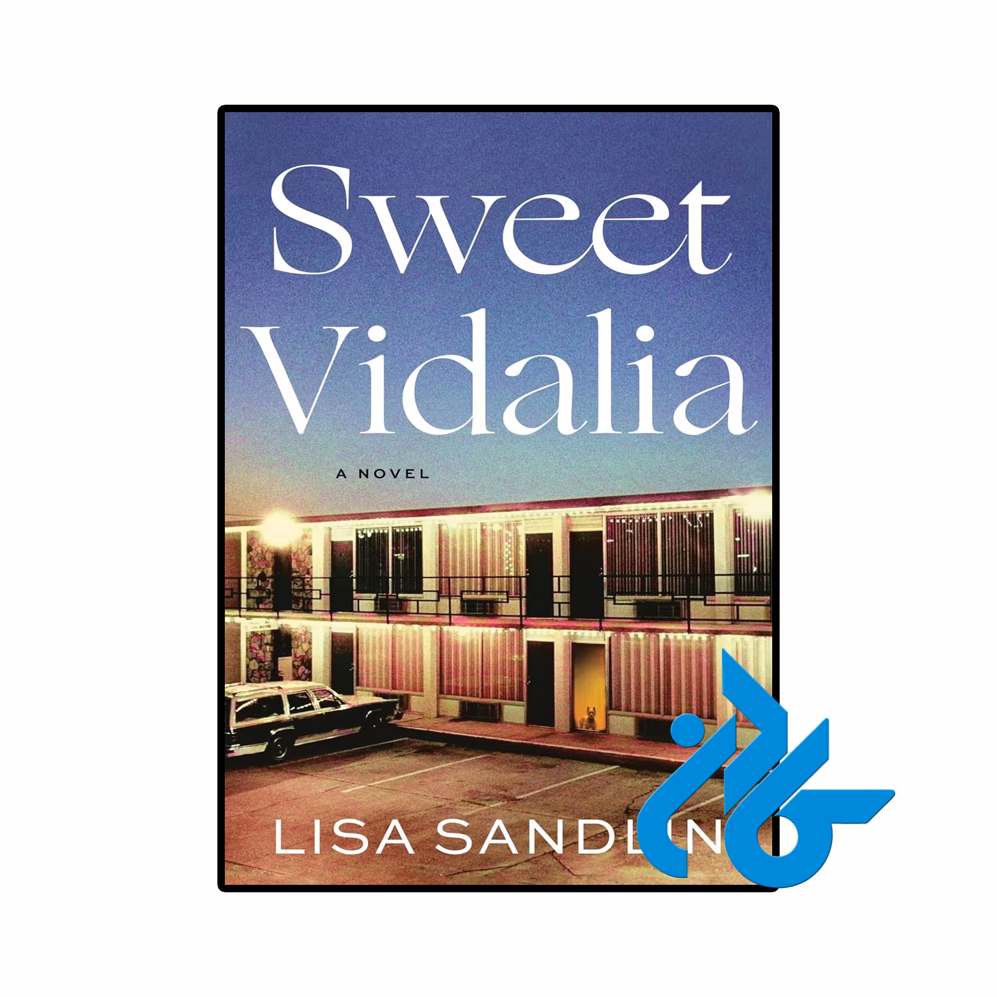 خرید و قیمت کتاب Sweet Vidalia از فروشگاه کادن