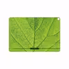 برچسب پوششی ماهوت مدل Leaf-Texture مناسب برای تبلت ایسوس Zenpad 3S 10 2017 Z500KL