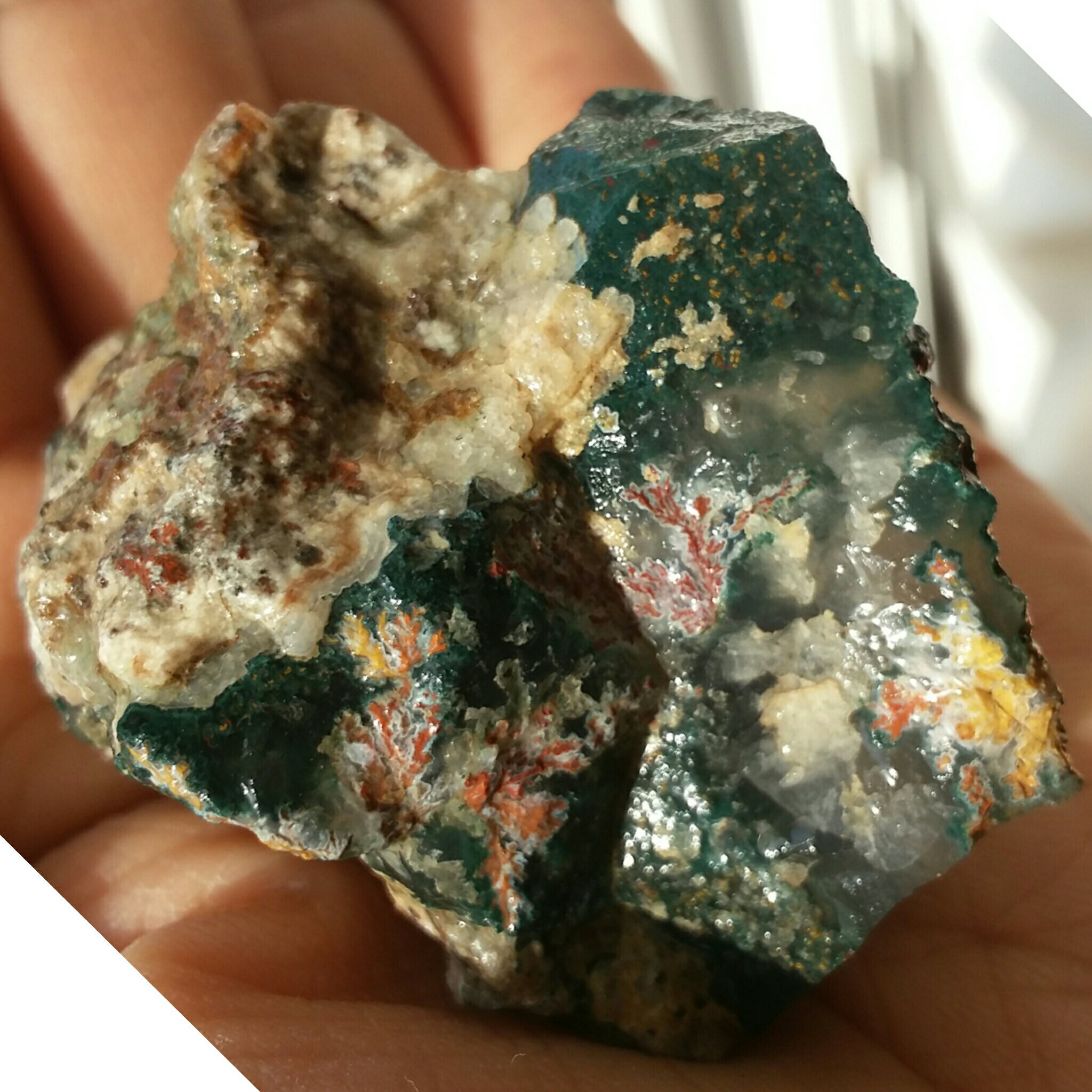 سنگ راف شجر سرخ زمینه سبز محشرررر کاملا طبیعی نمونه ای فوق العاده کمیاب