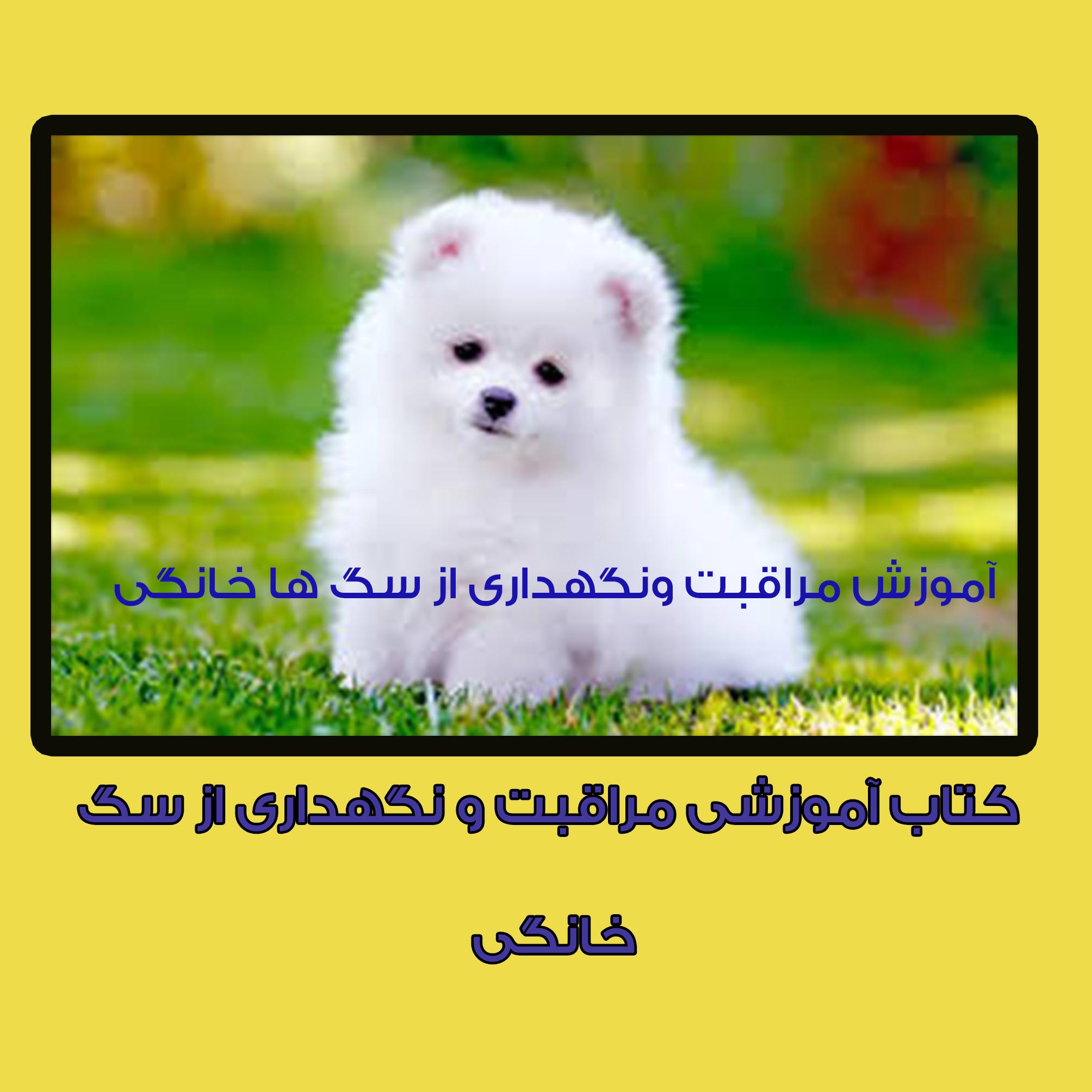 PDF  کتاب آموزش مراقبت و نگهداری از سگ ها  در54صفحه