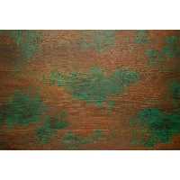 فلکسی رول Amazon