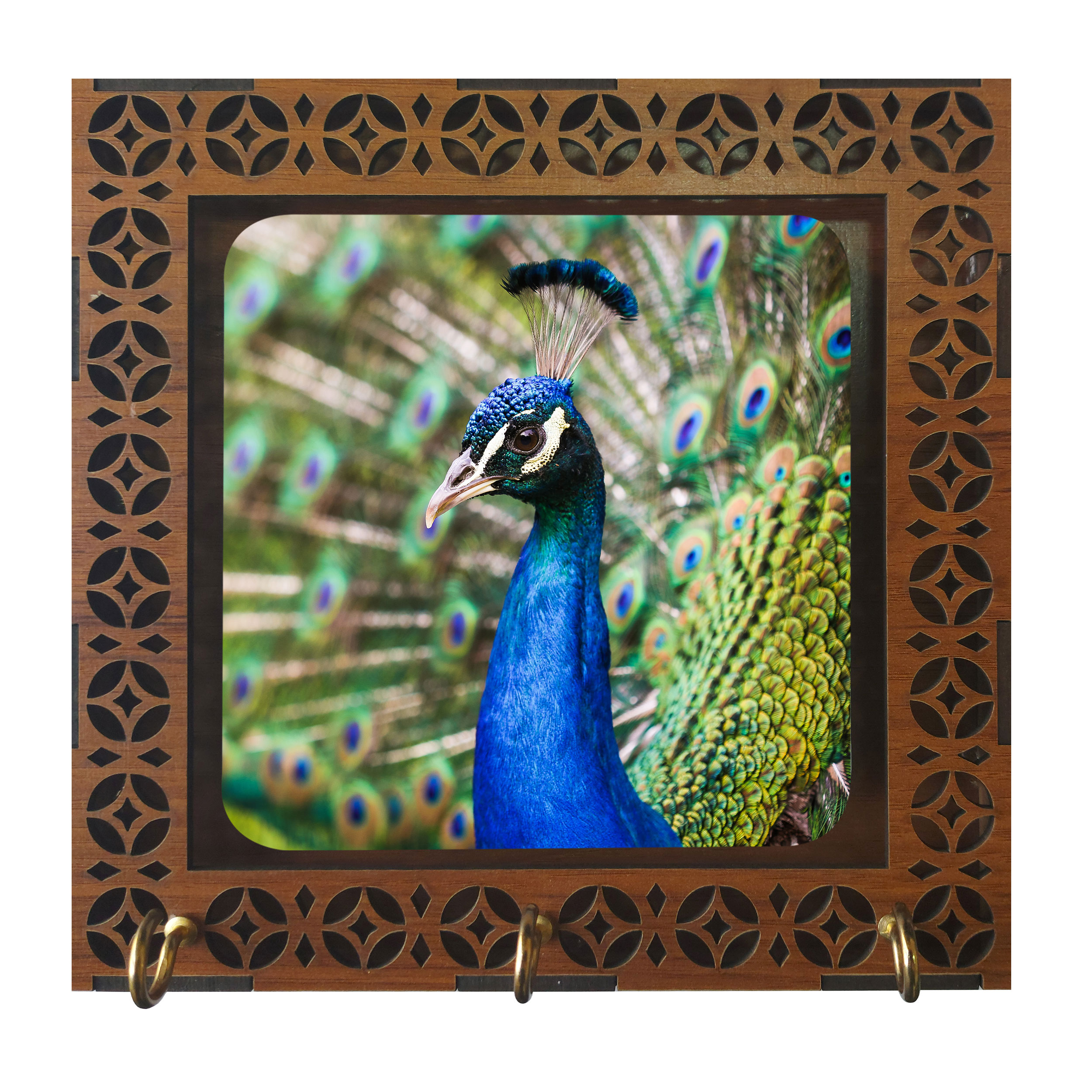 جا کلیدی مدل D1024 طرح پر طاووس