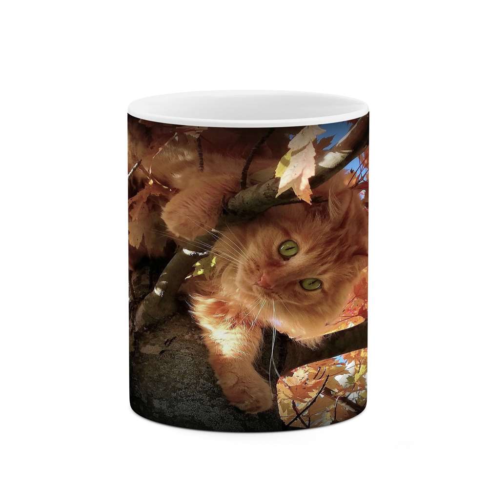 ماگ کاکتی طرح گربه مدل mgs15624