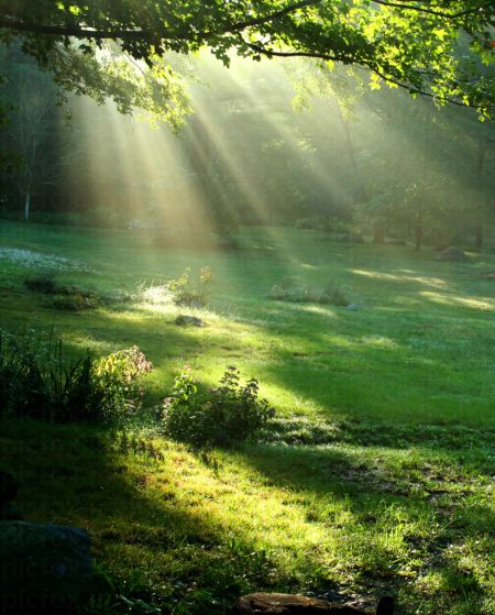 خرید و دانلود عکس Nature-Part-16 کد 35641 | پیک فاکس | Pic Fox