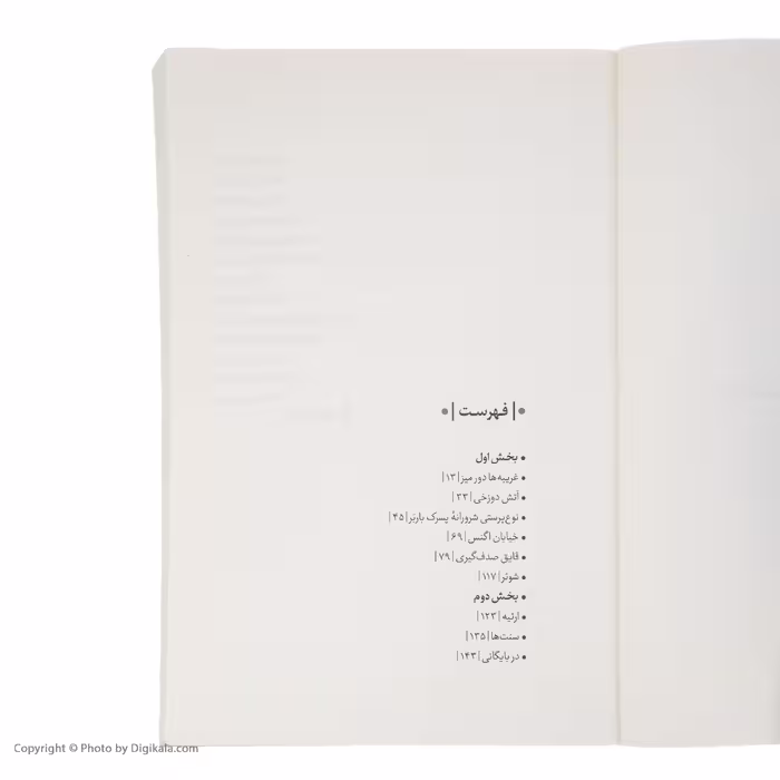 کتاب در میان سایه ها اثر مایکل اونداتیه انتشارات مون