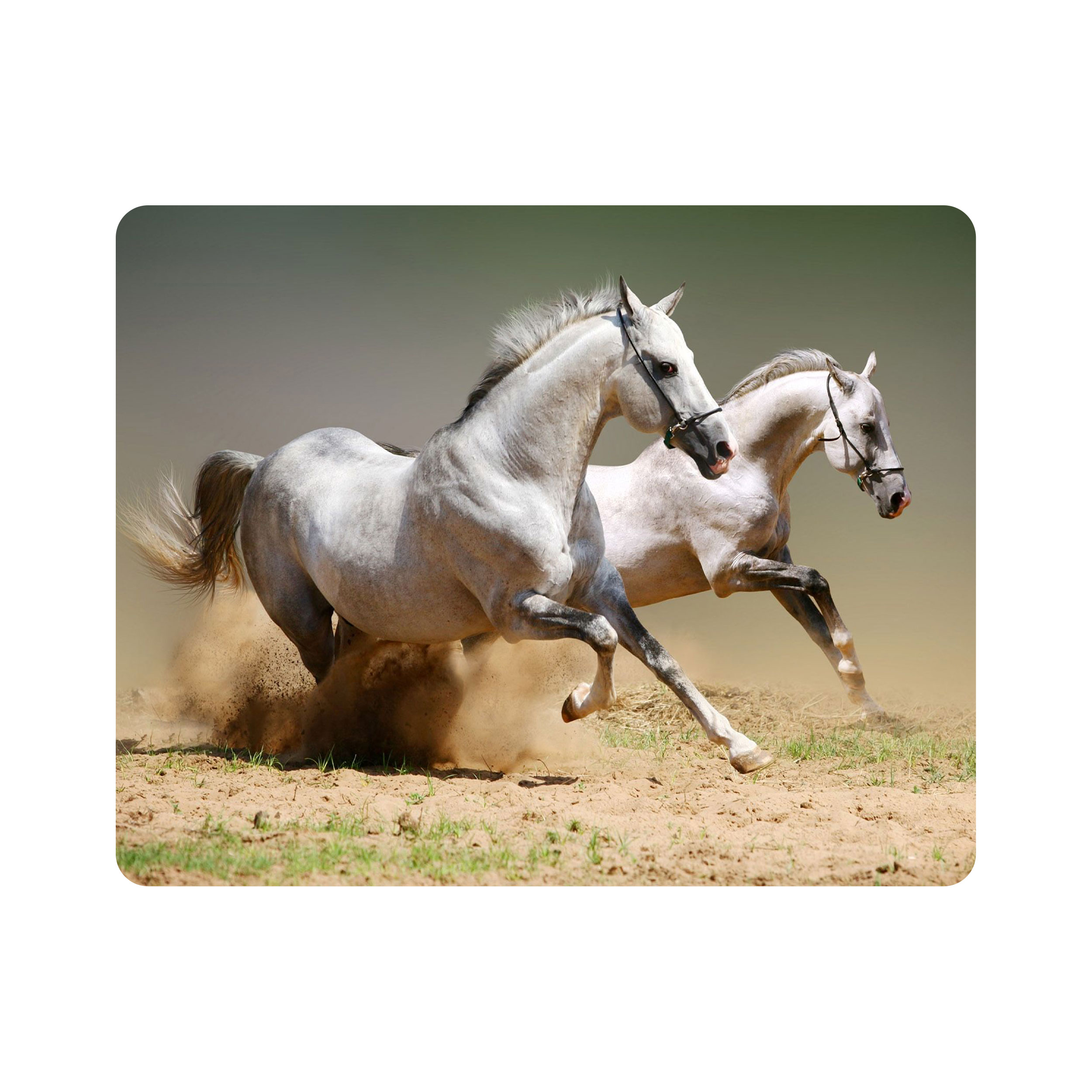 ماوس پد اطلس آبی طرح اسب مدل T1328