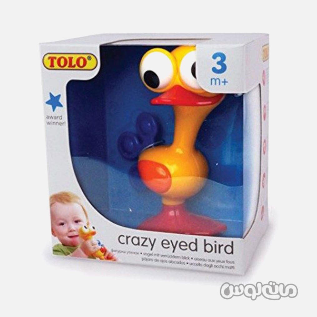 پلیکان چشم قلمبه نوزادی تولو

