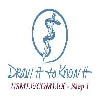 Draw It To Know It USMLE/COMLEX - Step 1 2019 - کتاب پزشکی بهار