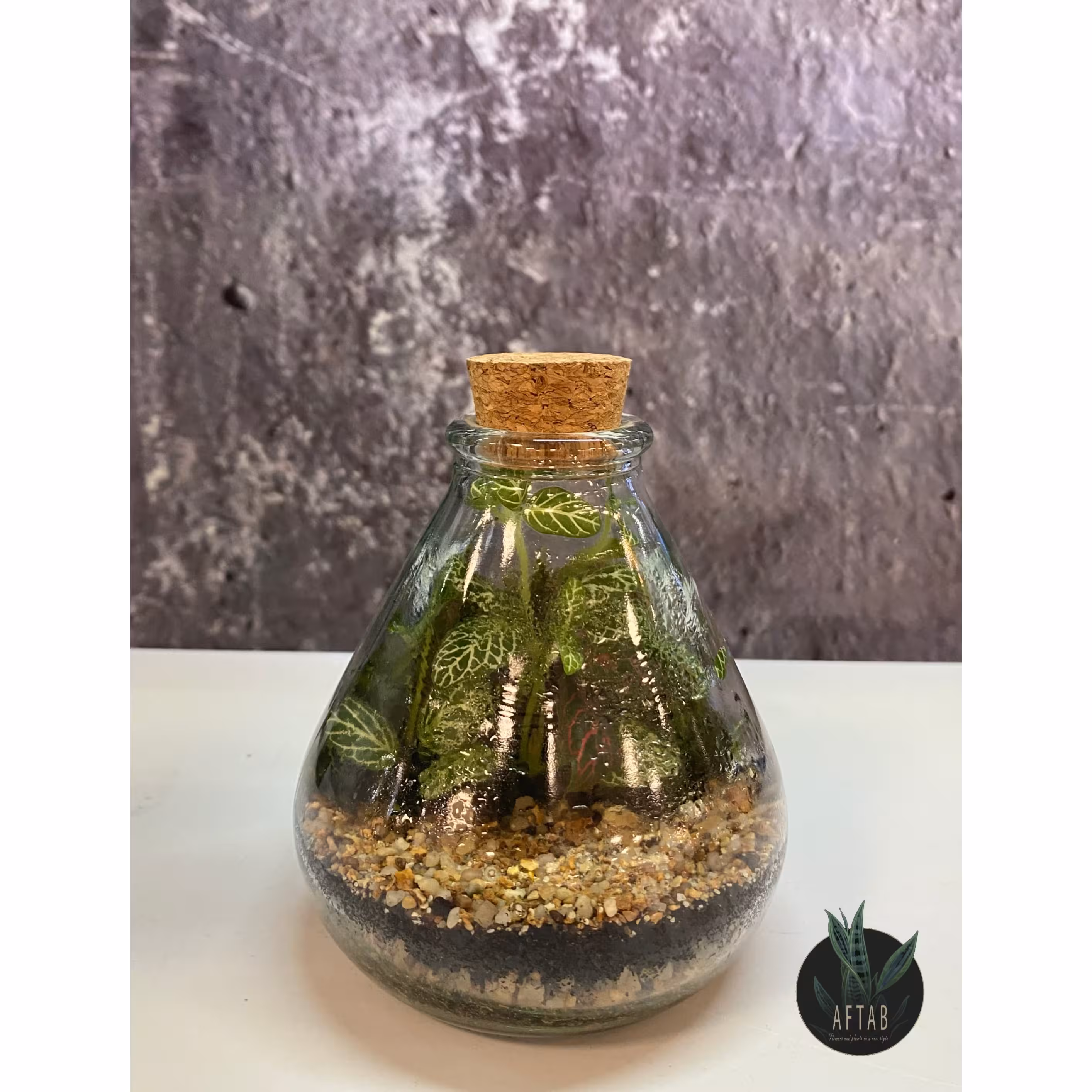 تراریوم شیشه ای کوچک