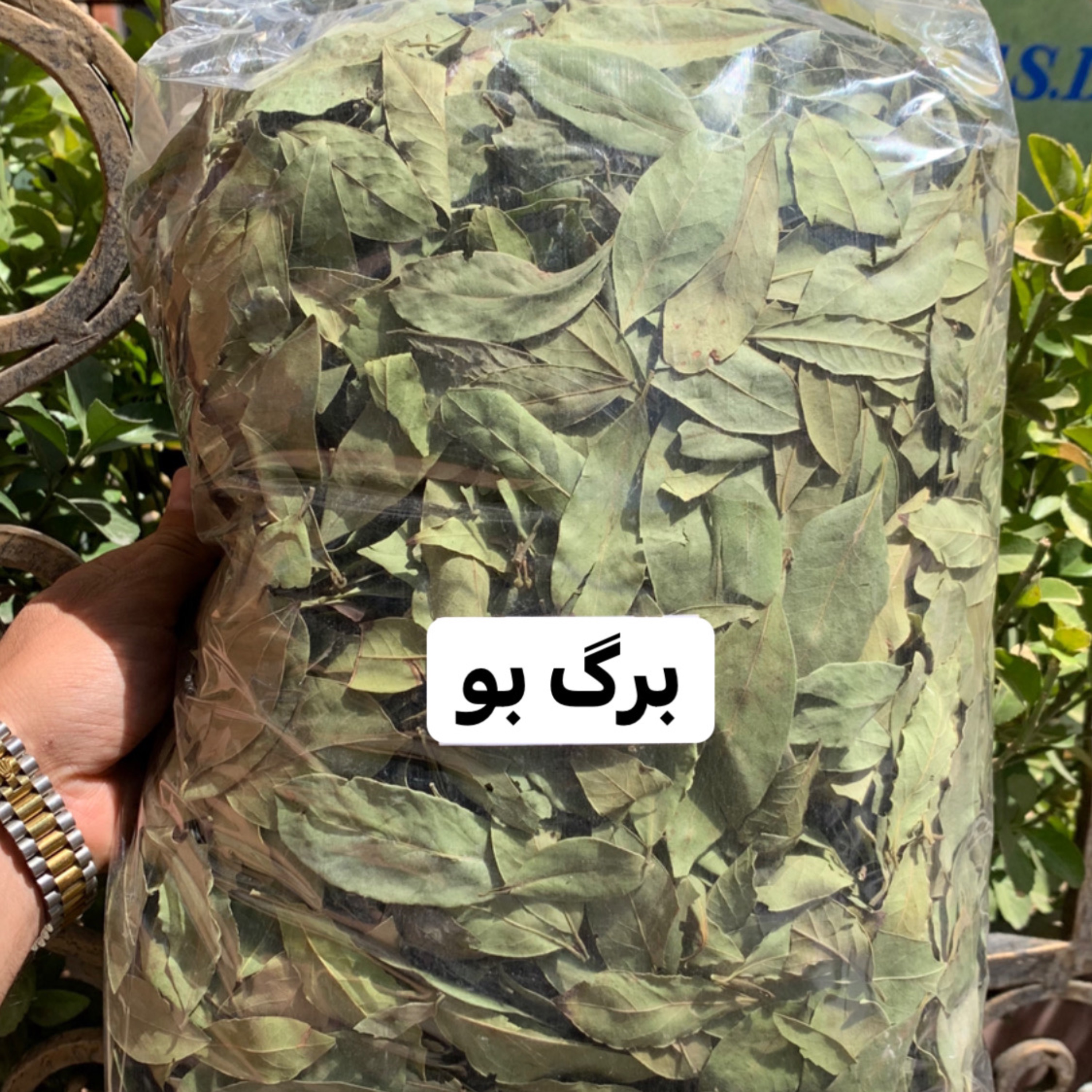 برگ بو لوکس تمیز 1 کیلویی آقای زعفران