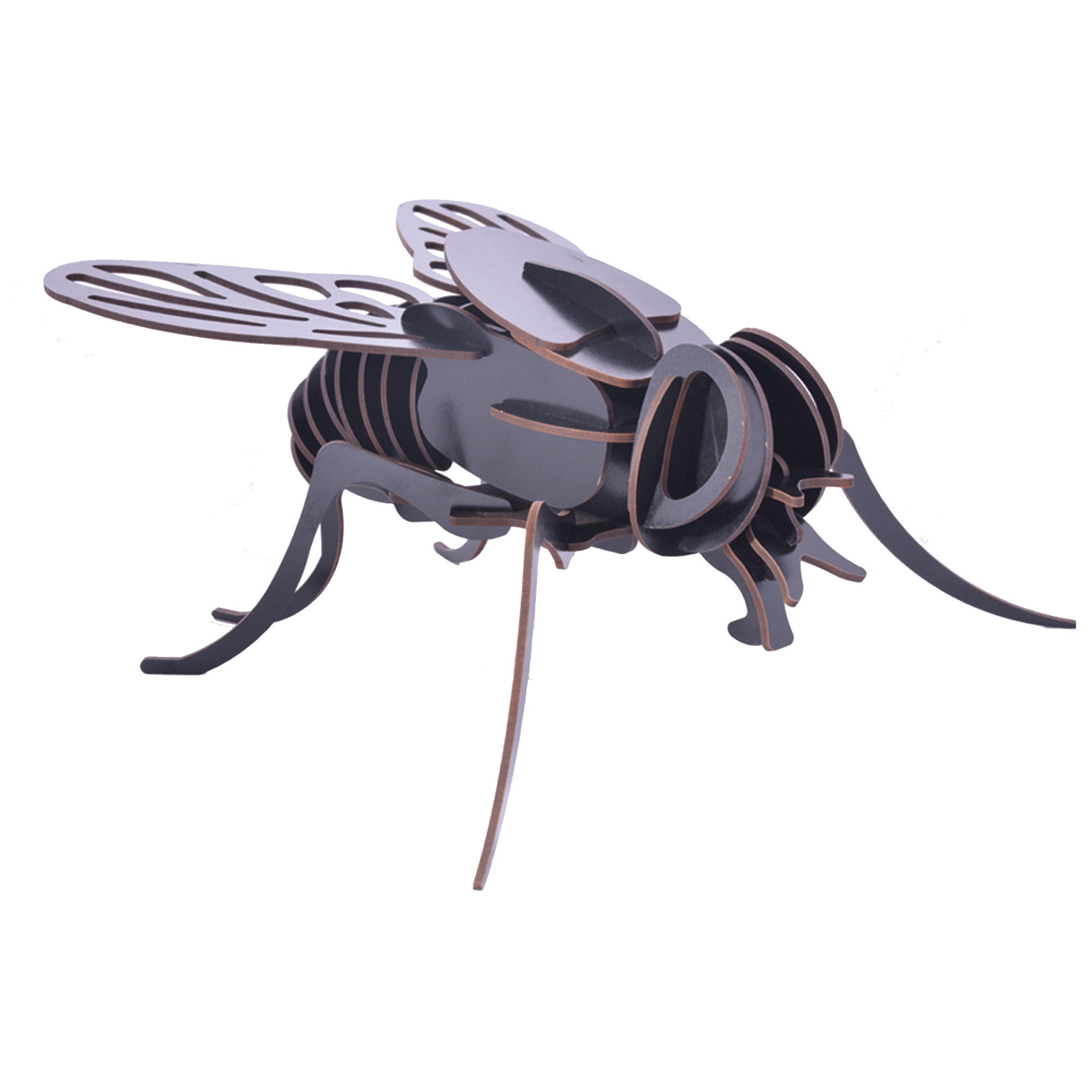 ساختنی آبان مدل مگس