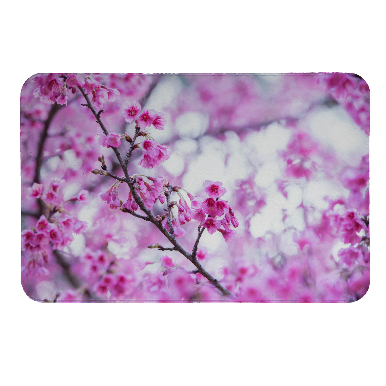 رطوبت گیر کنار سینک کد 5539