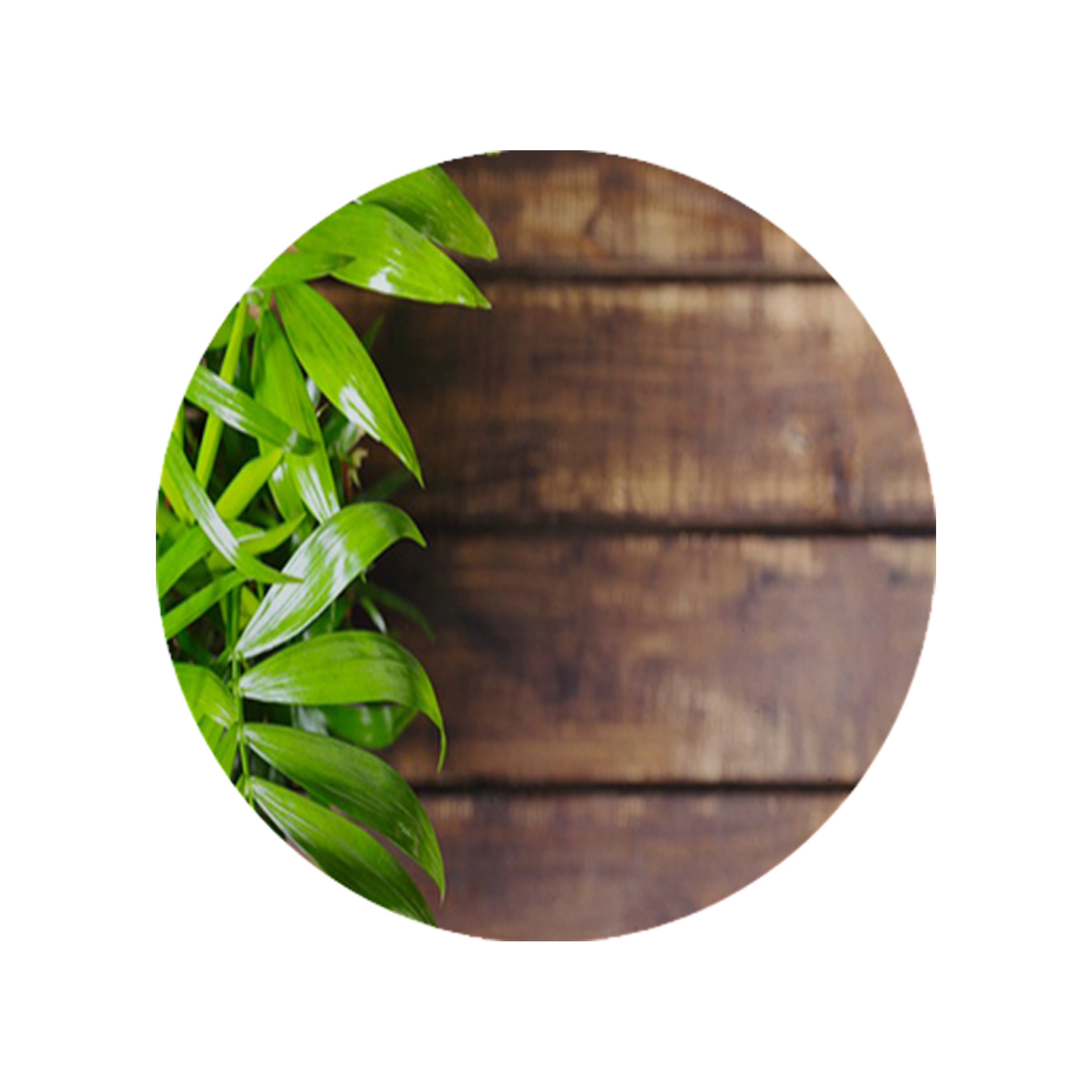 زیرقابلمه ای طرح برگ کد 8111 