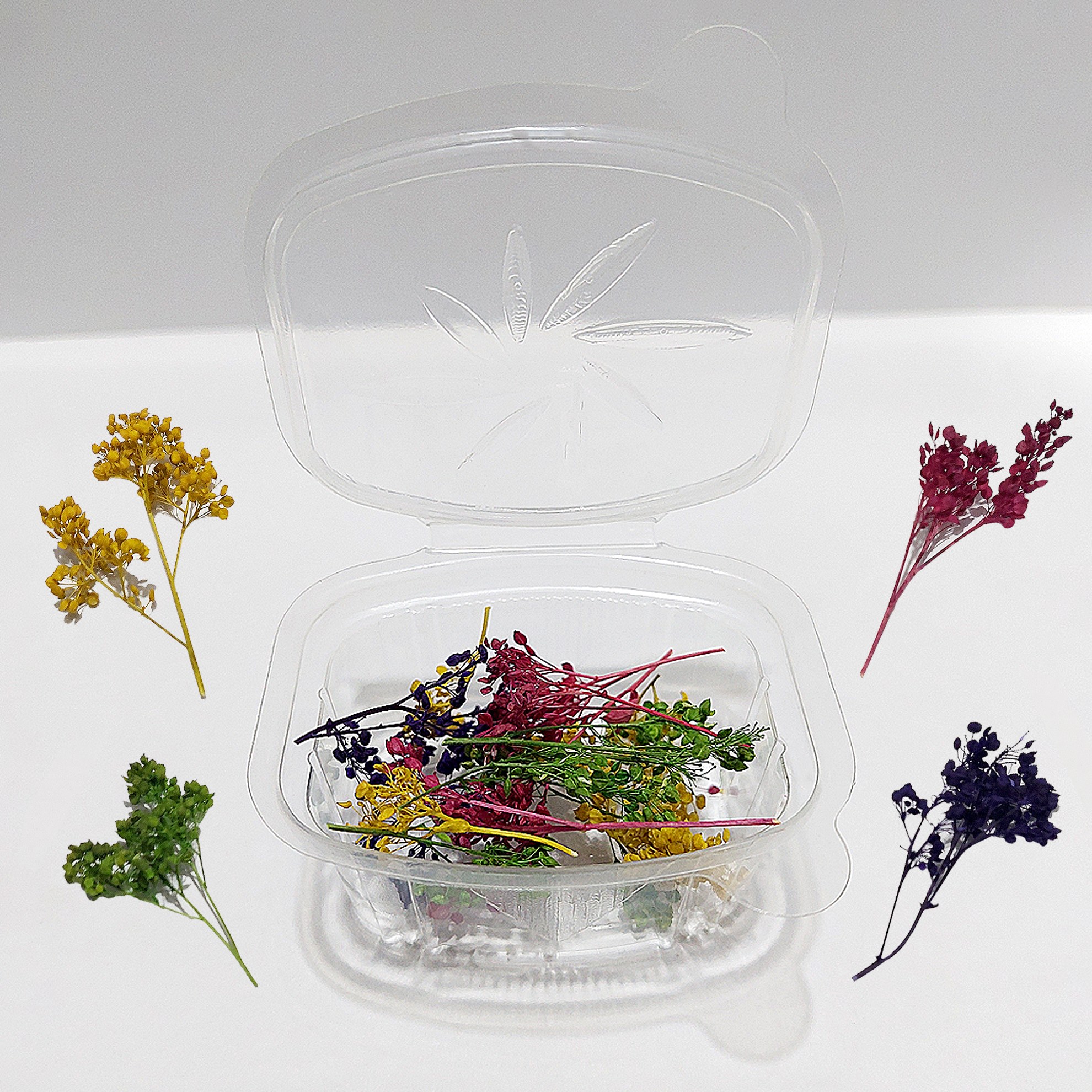 گل خشک سبزه ریزه در رنگهای متنوع - بسته 3 گرمی