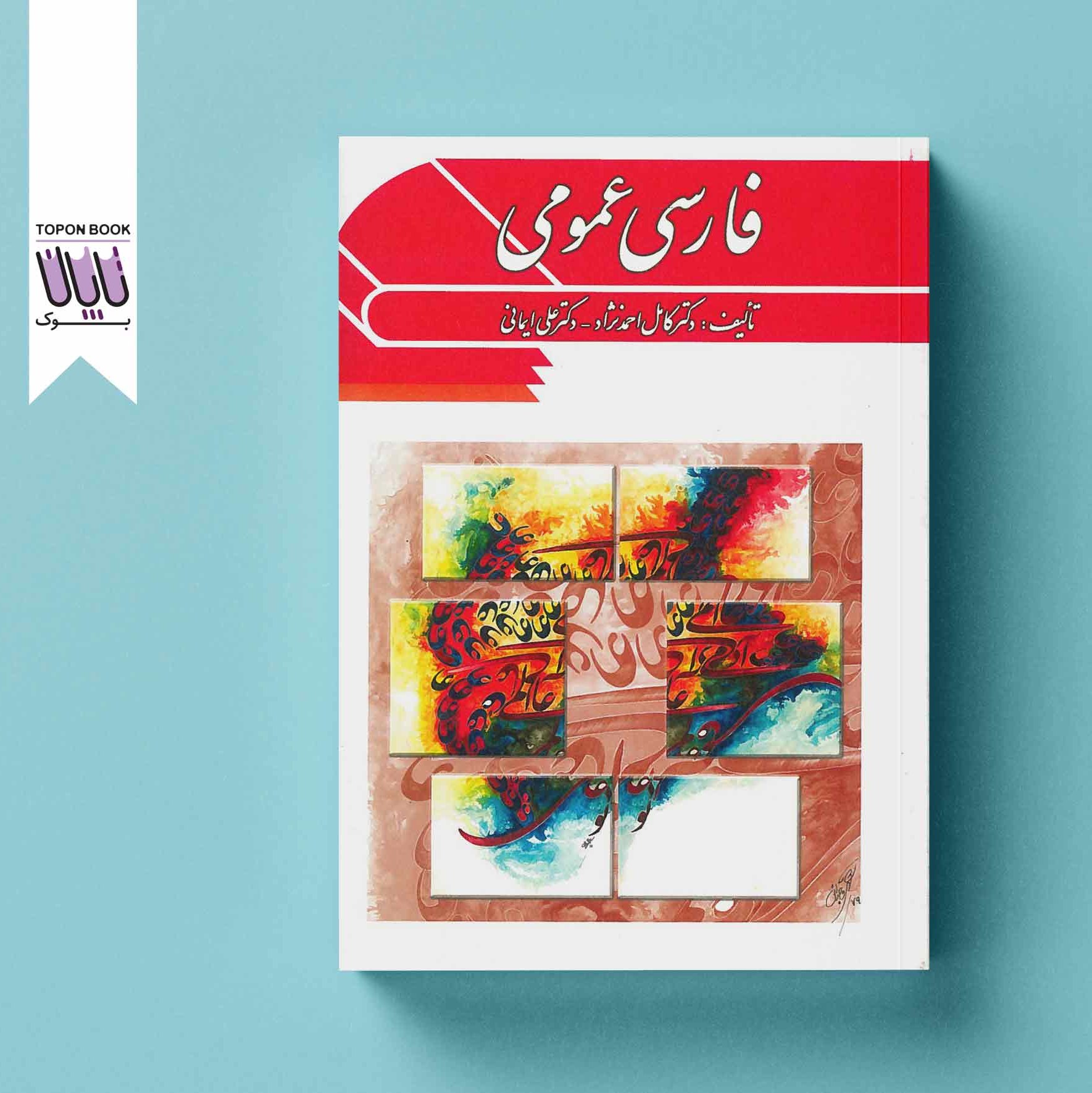 فارسی عمومی با اصطلاحات
