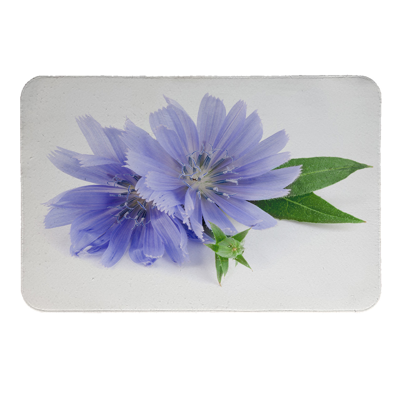 رطوبت گیر کنار سینک کد 5549