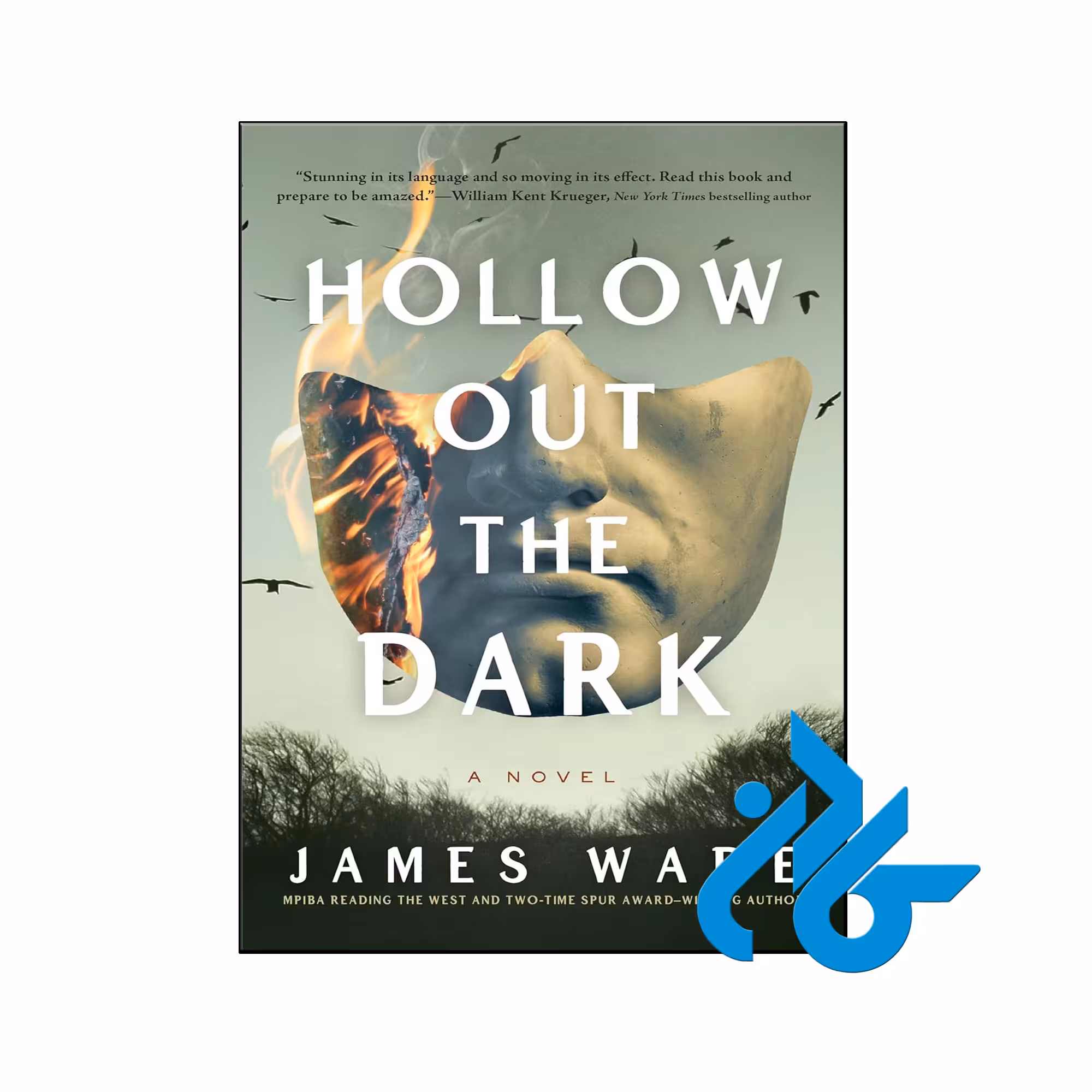 خرید و قیمت کتاب Hollow Out the Dark از فروشگاه کادن