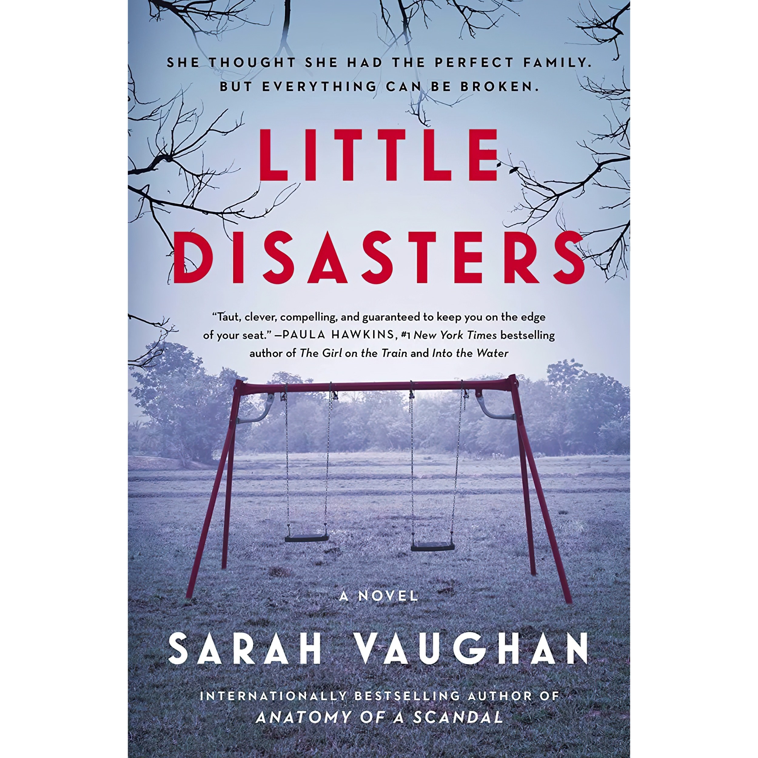 کتاب زبان اصلی Little Disasters اثر Sarah Vaughan