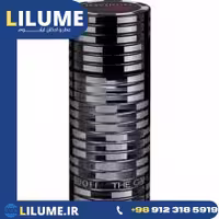 عطر ادکلن دیویدف د گیم 100 میل مردانه