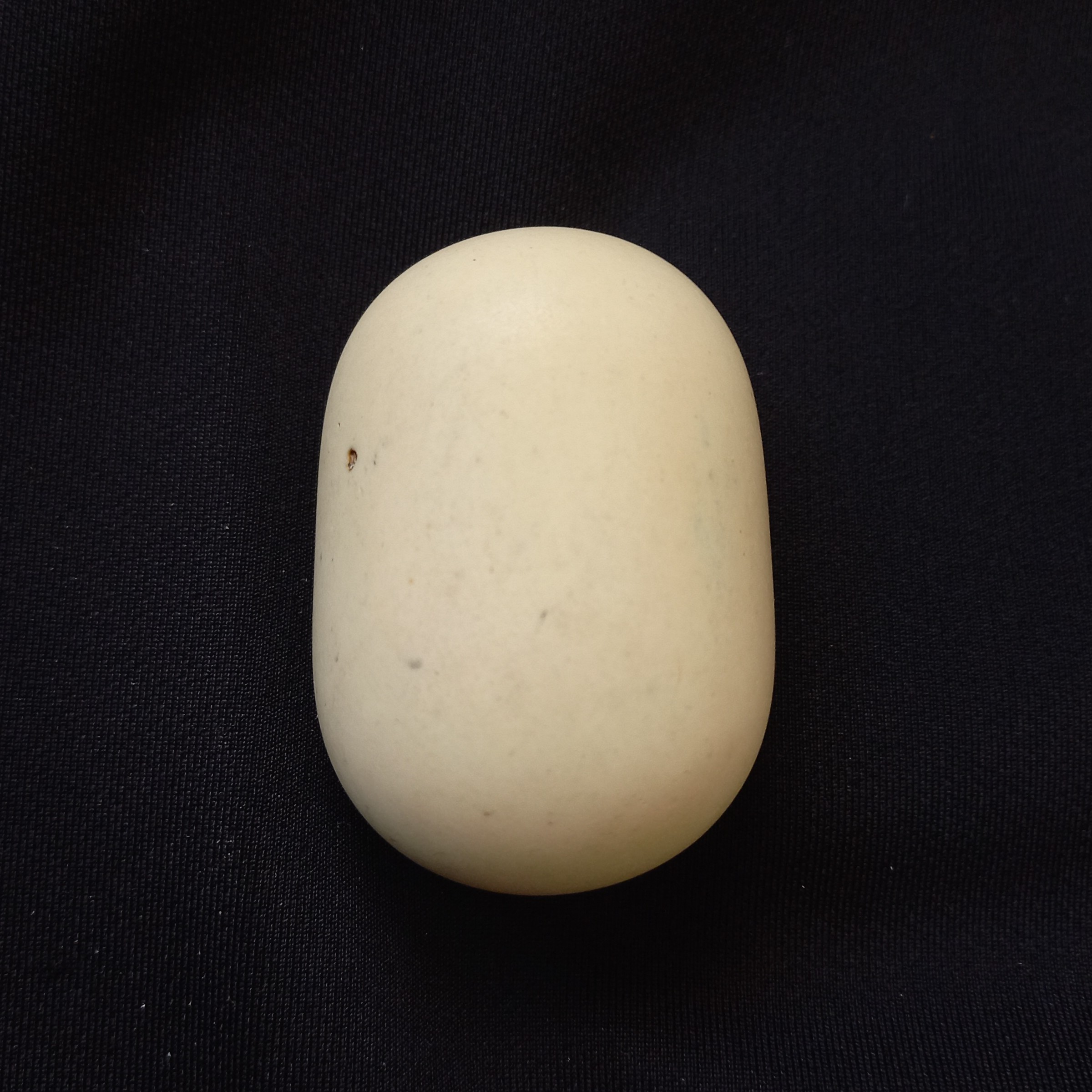 سنگ آسیاب 22 با هدیه