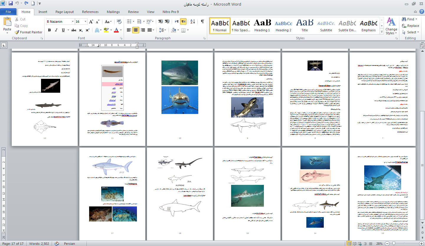 دانلود تحقيق بررسی راسته كوسه ماهيان