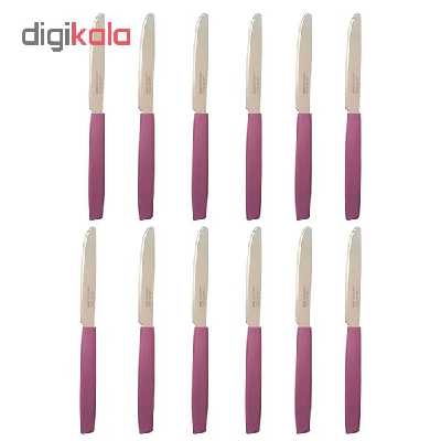 کارد میوه خوری کد 6673 بسته 12 عددی