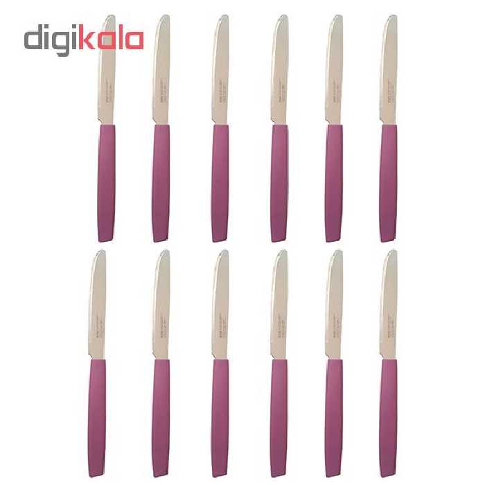 کارد میوه خوری کد 6673 بسته 12 عددی