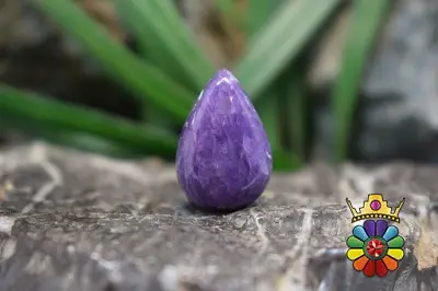 چاروئیت (بنفشان)