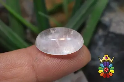 در نجف اصلی