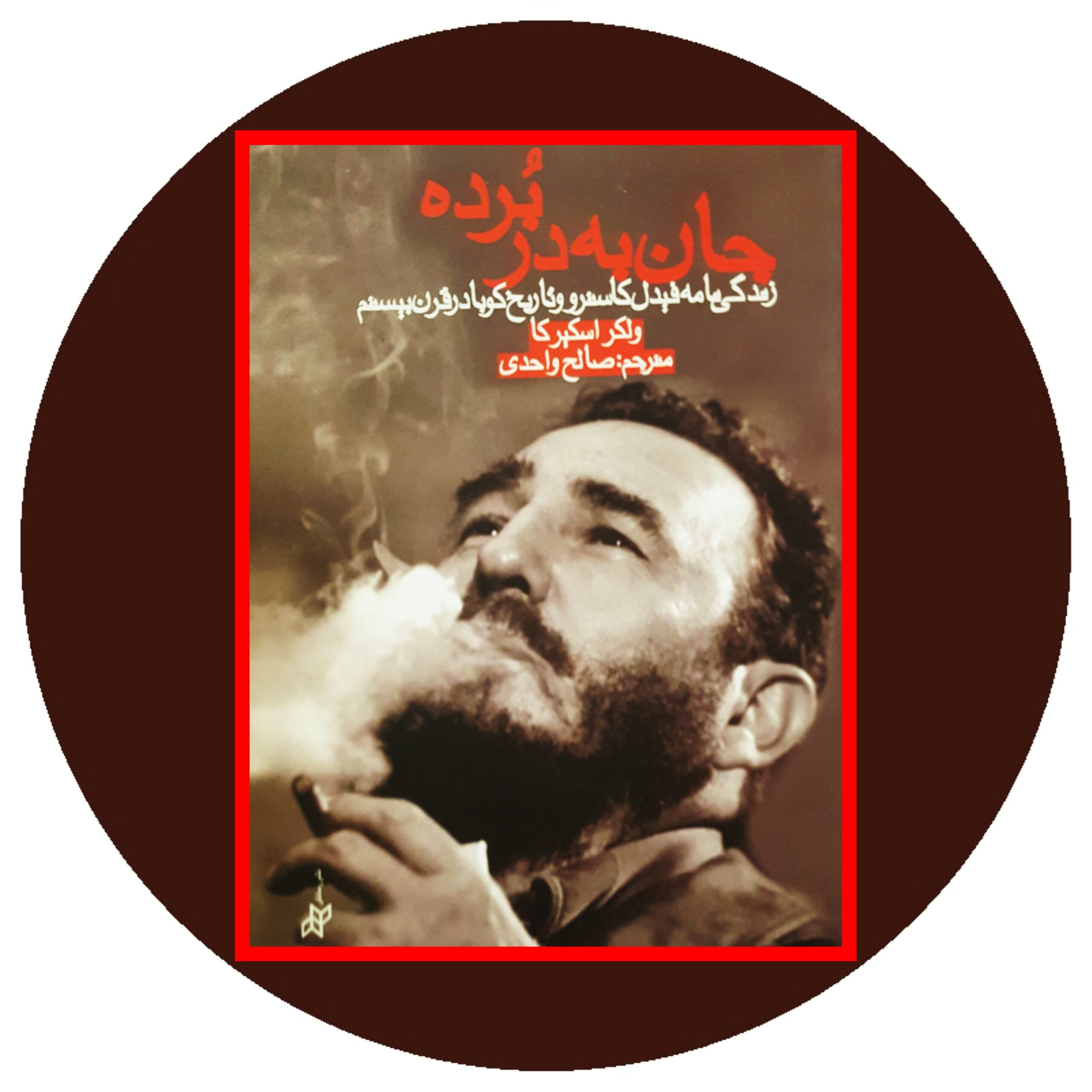کتاب جان به در برده - خرید با تخفیف چهل درصد ازکتاب دایره قهوه ای -