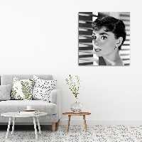 تابلو شاسی مدل آدری هپبورن کد 8