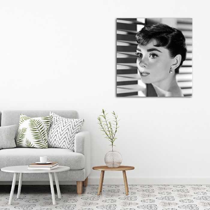 تابلو شاسی مدل آدری هپبورن کد 8