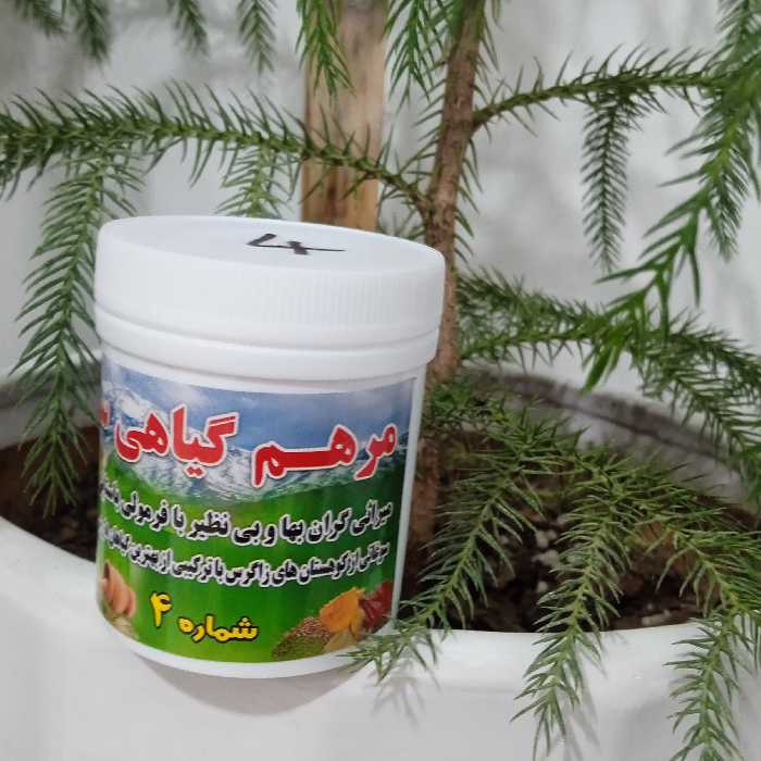 پک التیام بخش انواع زانو درد و مشکلات ناحیه پاها با مرهم ساریژ 