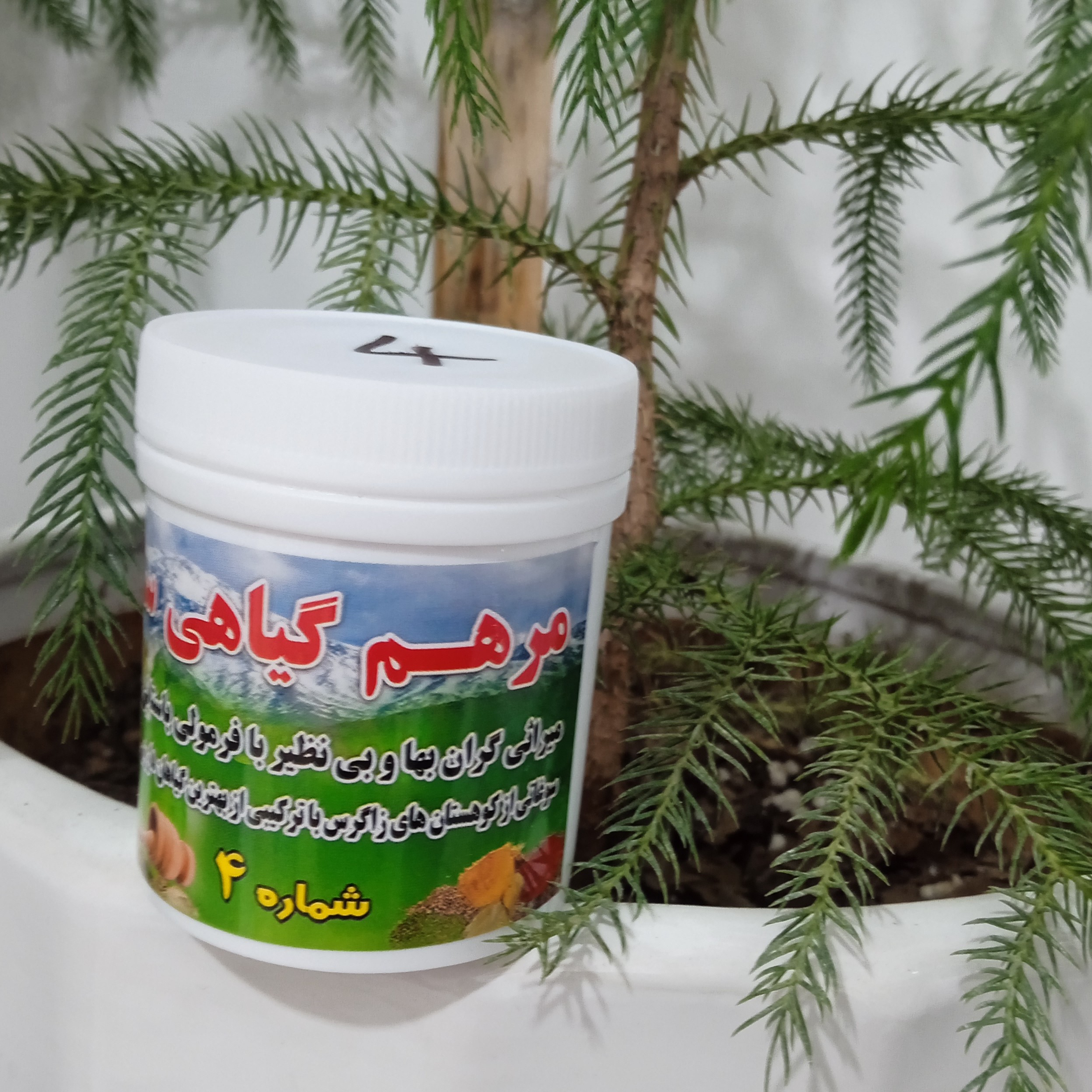 پک التیام بخش انواع زانو درد و مشکلات ناحیه پاها با مرهم ساریژ 