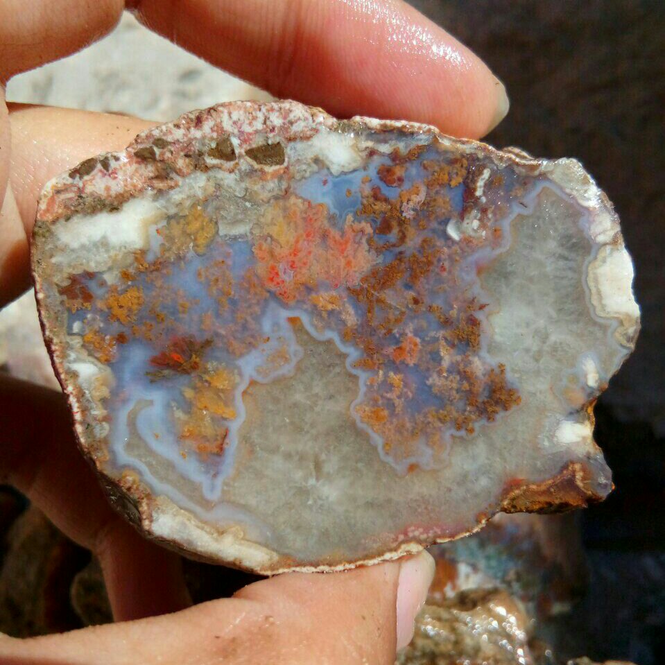 راف شجر هفت رنگ مختص تراش نگین های بسیار خاص و کلکسیون