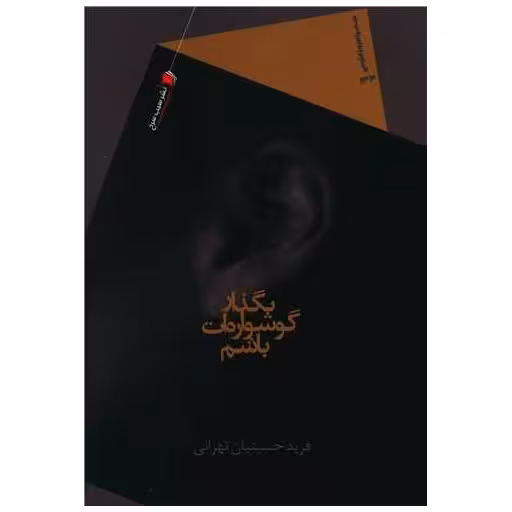 کتاب بگذار گوشواره ات باشم اثر فرید حسینیان تهرانی
