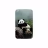 برچسب پوششی ماهوت مدل Panda مناسب برای تبلت سامسونگ Galaxy Tab 3 8.0 2013 T311