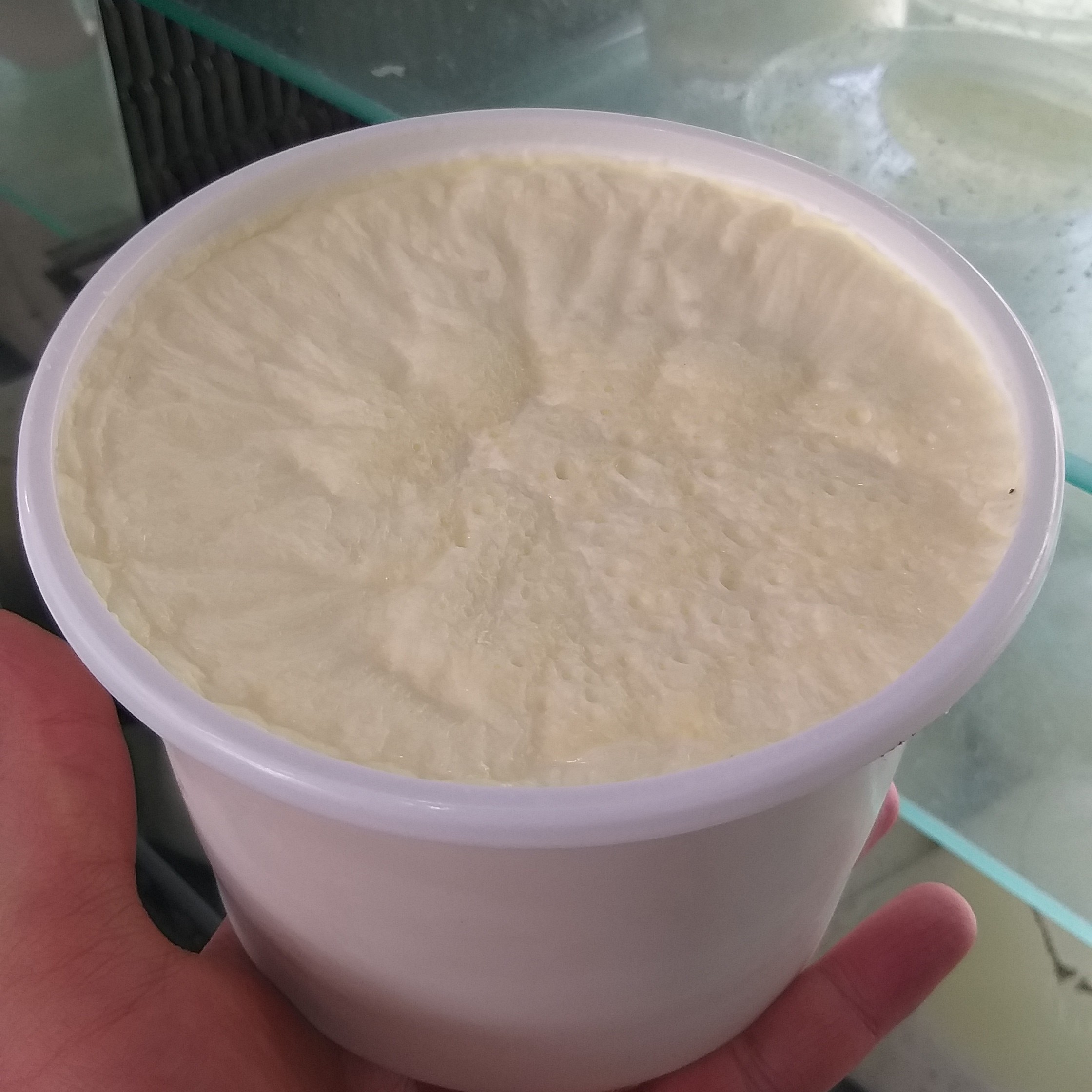 ماست گاوی پرچرب 1200گرمی