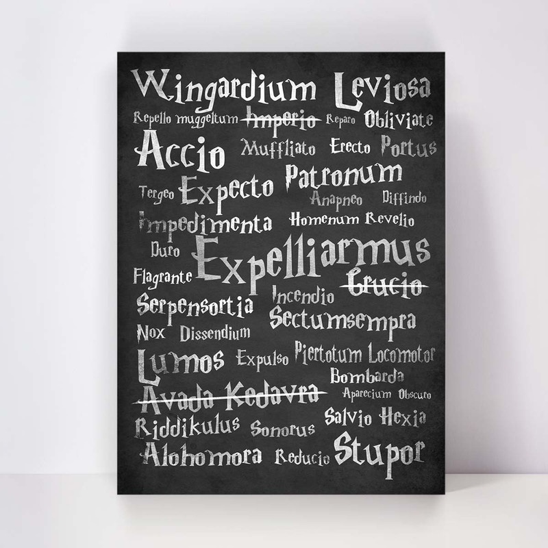 تابلو شاسی مدل Harry Potter کد S-5015 | دنیای قاب