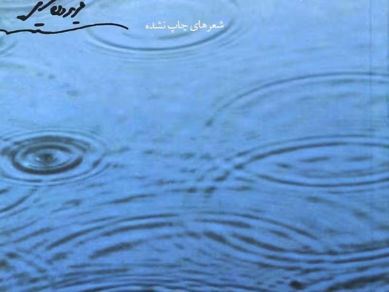 نوائی هم‌آهنگ باران