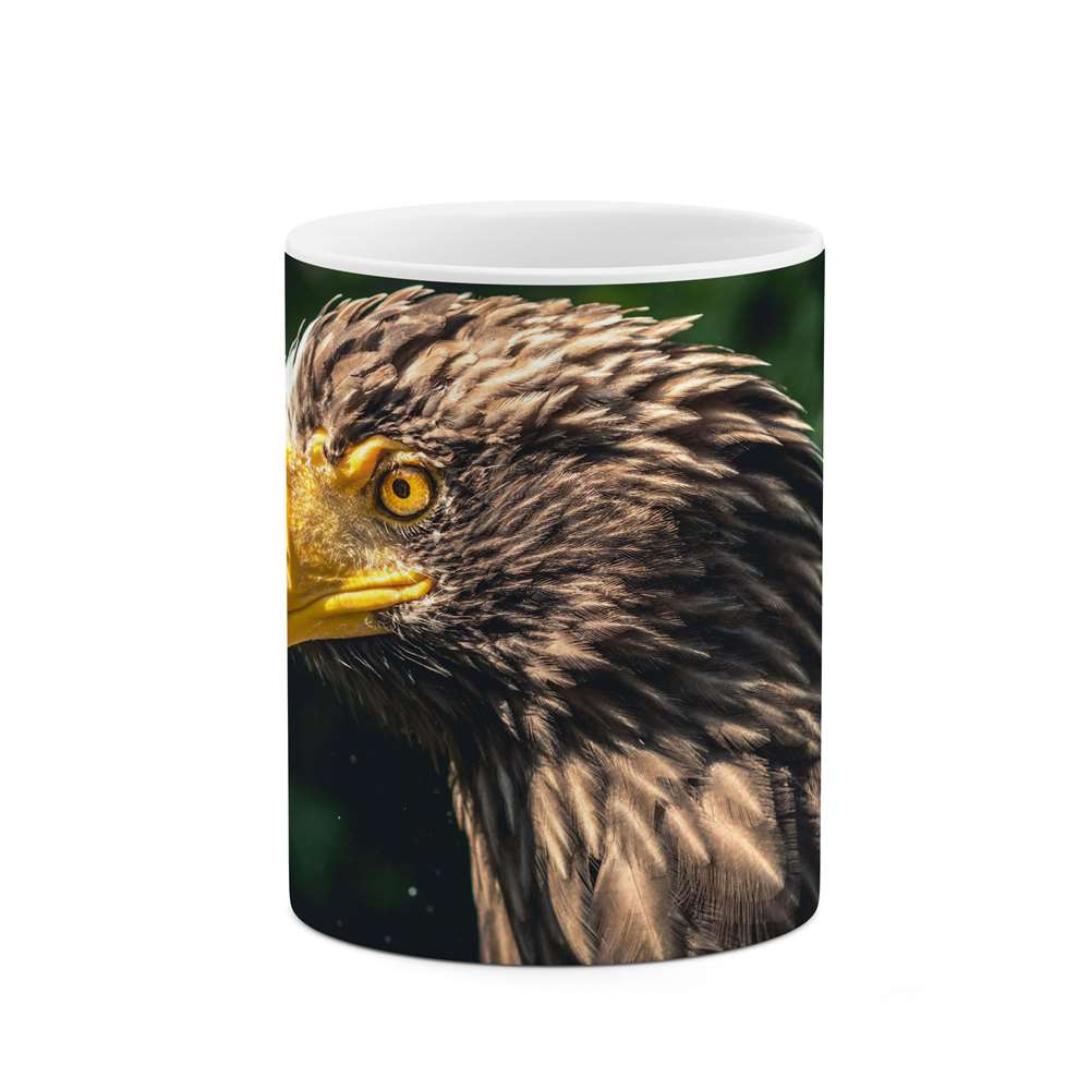 ماگ طرح عقاب  مدل mgp14113