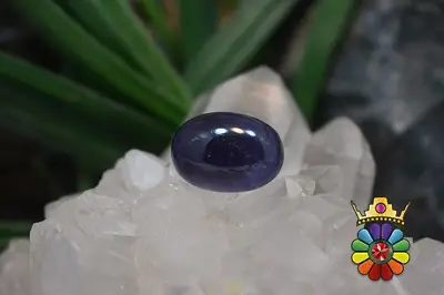 ایولیت (کوردیریت)