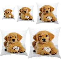 کوسن مدل S5-10854 مجموعه 5 عددی