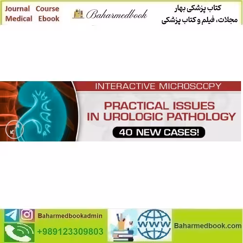 Practical Issues in Urologic Pathology 40 New Cases 2021 video