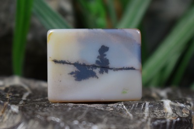 عقیق شجر هند