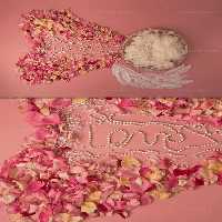 بک دراپ کودک با گلبرگ | گرافیک با طعم تربچه