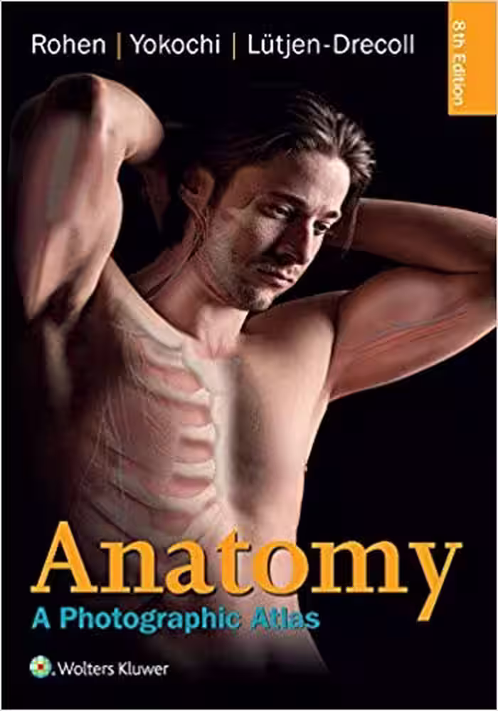 󾕇 دانلود کتاب Anatomy - A Photographic Atlas (Color Atlas Of Anatomy A Photographic Study Of The Human Body), 8th ed, 2015 - دانلود کتاب های دانشگاهی