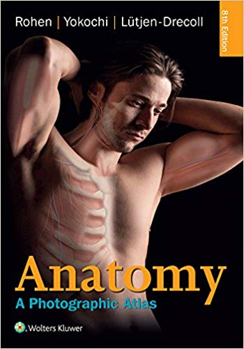  دانلود کتاب Anatomy - A Photographic Atlas (Color Atlas Of Anatomy A Photographic Study Of The Human Body), 8th ed, 2015 - دانلود کتاب های دانشگاهی